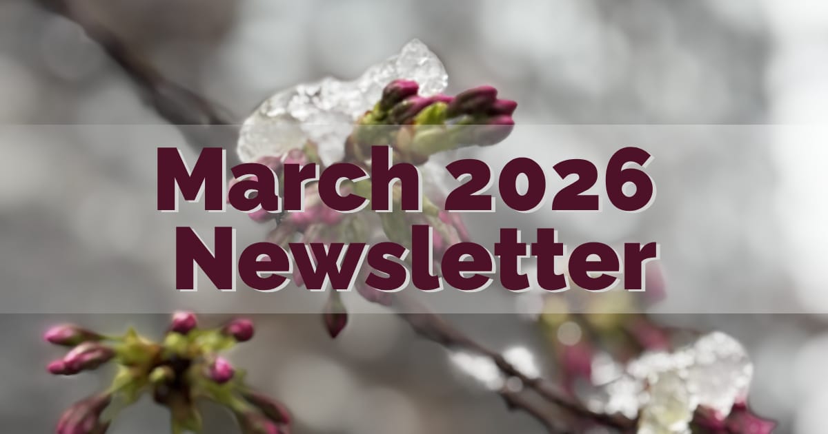 Monthly Update - March 2026